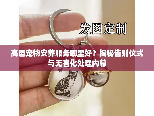 高邑宠物安葬服务哪里好？揭秘告别仪式与无害化处理内幕