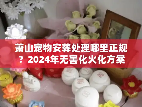 萧山宠物安葬处理哪里正规？2024年无害化火化方案