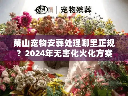 萧山宠物安葬处理哪里正规？2024年无害化火化方案
