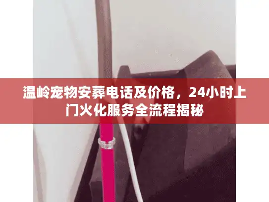 温岭宠物安葬电话及价格，24小时上门火化服务全流程揭秘