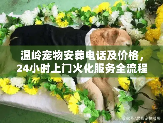 温岭宠物安葬电话及价格，24小时上门火化服务全流程揭秘