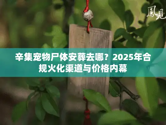 辛集宠物尸体安葬去哪？2025年合规火化渠道与价格内幕