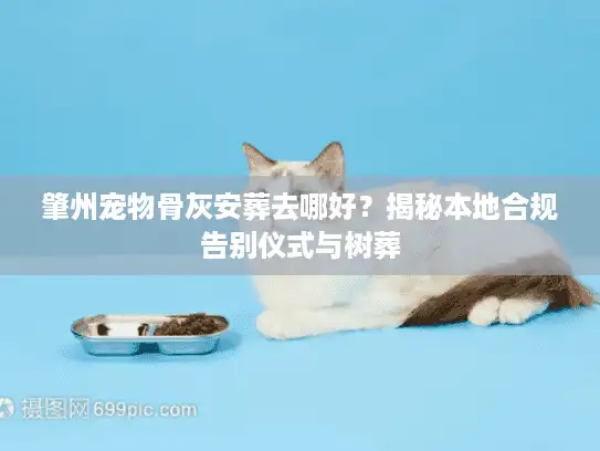 肇州宠物骨灰安葬去哪好？揭秘本地合规告别仪式与树葬