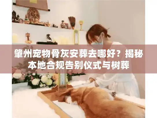 肇州宠物骨灰安葬去哪好？揭秘本地合规告别仪式与树葬