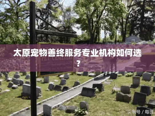 太原宠物善终服务专业机构如何选？