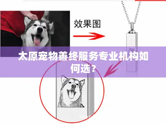太原宠物善终服务专业机构如何选？