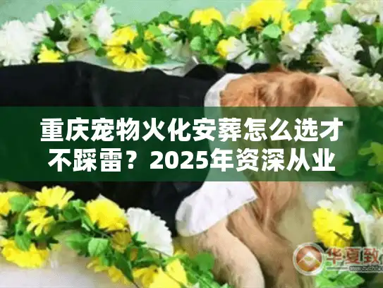 重庆宠物火化安葬怎么选才不踩雷？2025年资深从业者避坑实况