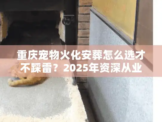 重庆宠物火化安葬怎么选才不踩雷？2025年资深从业者避坑实况