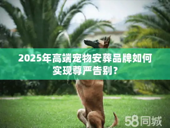 2025年高端宠物安葬品牌如何实现尊严告别？