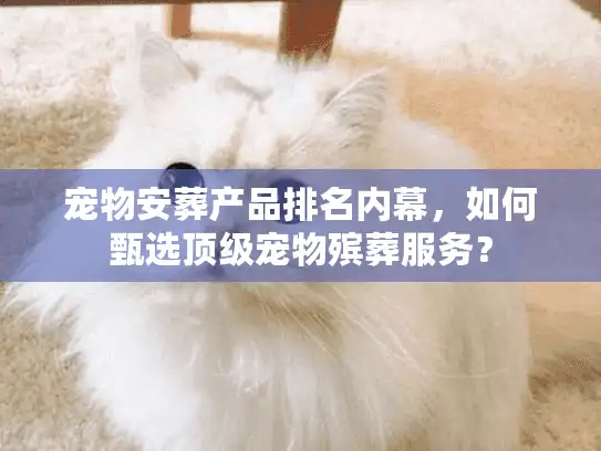 宠物安葬产品排名内幕，如何甄选顶级宠物殡葬服务？