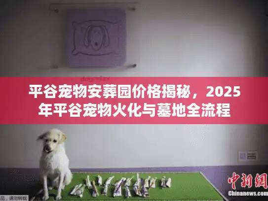 平谷宠物安葬园价格揭秘，2025年平谷宠物火化与墓地全流程