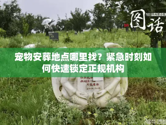 宠物安葬地点哪里找？紧急时刻如何快速锁定正规机构
