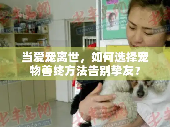 当爱宠离世，如何选择宠物善终方法告别挚友？