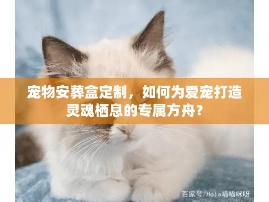 宠物安葬盒定制，如何为爱宠打造灵魂栖息的专属方舟？