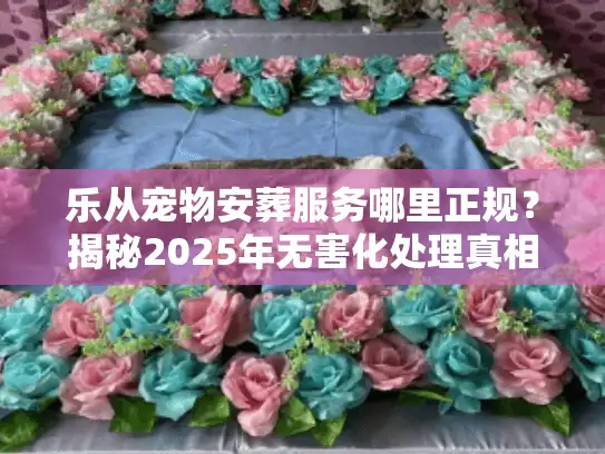 乐从宠物安葬服务哪里正规？揭秘2025年无害化处理真相