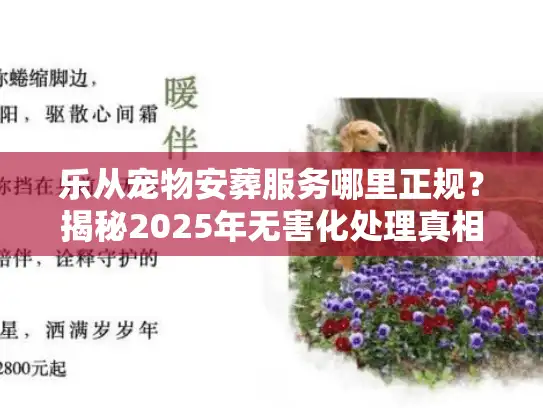 乐从宠物安葬服务哪里正规？揭秘2025年无害化处理真相