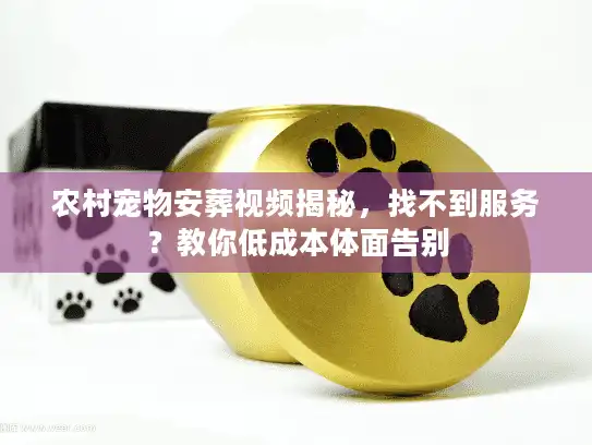 农村宠物安葬视频揭秘，找不到服务？教你低成本体面告别