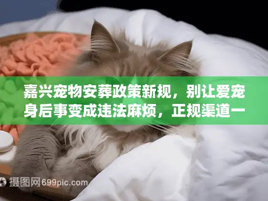 嘉兴宠物安葬政策新规，别让爱宠身后事变成违法麻烦，正规渠道一览