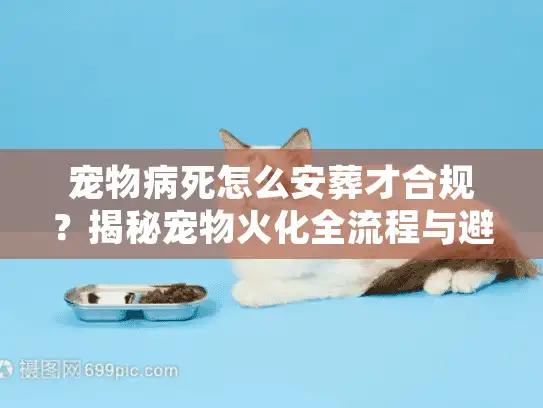 宠物病死怎么安葬才合规？揭秘宠物火化全流程与避坑实战