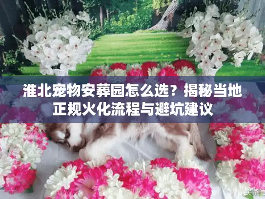 淮北宠物安葬园怎么选？揭秘当地正规火化流程与避坑建议