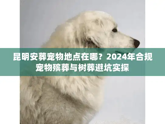 昆明安葬宠物地点在哪？2024年合规宠物殡葬与树葬避坑实探