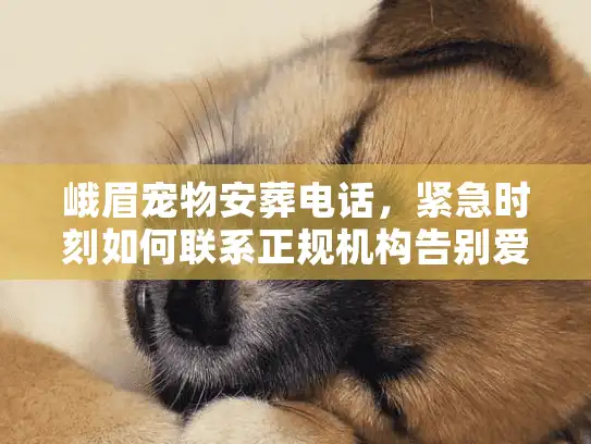 峨眉宠物安葬电话，紧急时刻如何联系正规机构告别爱宠？