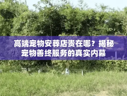 高端宠物安葬店贵在哪？揭秘宠物善终服务的真实内幕