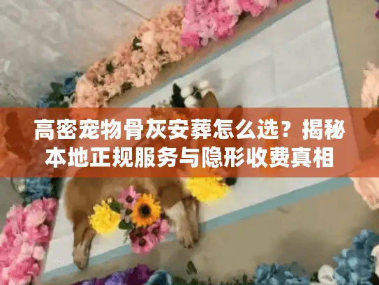 高密宠物骨灰安葬怎么选？揭秘本地正规服务与隐形收费真相