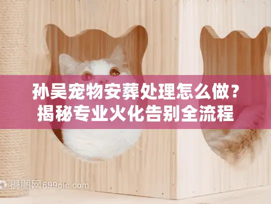 孙吴宠物安葬处理怎么做？揭秘专业火化告别全流程