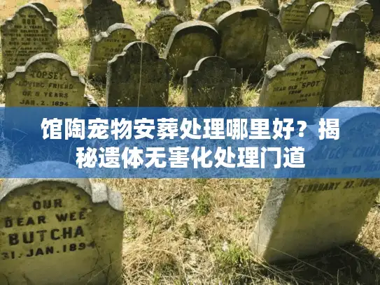 馆陶宠物安葬处理哪里好？揭秘遗体无害化处理门道