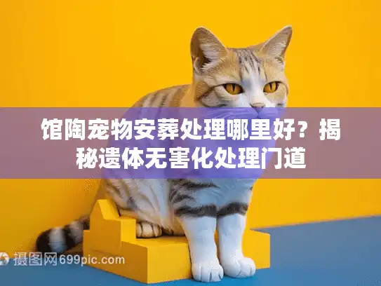 馆陶宠物安葬处理哪里好？揭秘遗体无害化处理门道