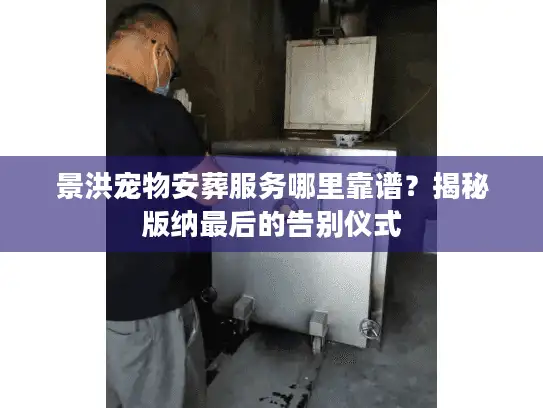 景洪宠物安葬服务哪里靠谱？揭秘版纳最后的告别仪式