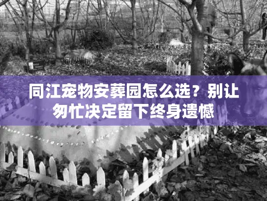 同江宠物安葬园怎么选？别让匆忙决定留下终身遗憾