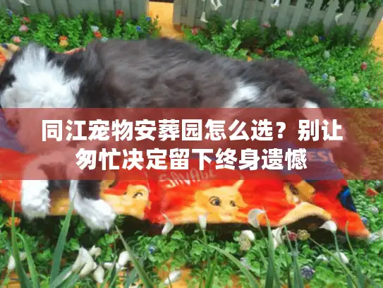 同江宠物安葬园怎么选？别让匆忙决定留下终身遗憾