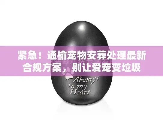 紧急！通榆宠物安葬处理最新合规方案，别让爱宠变垃圾