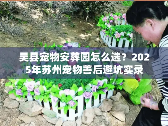 吴县宠物安葬园怎么选？2025年苏州宠物善后避坑实录