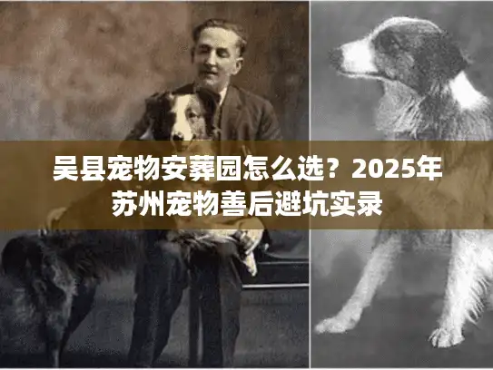 吴县宠物安葬园怎么选？2025年苏州宠物善后避坑实录