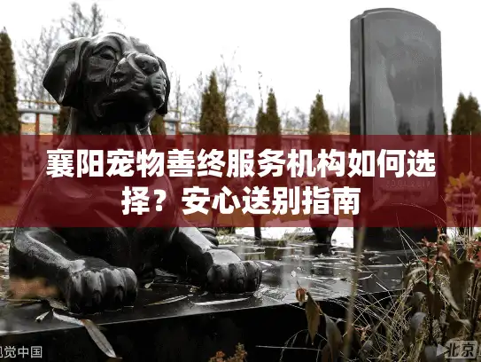 襄阳宠物善终服务机构如何选择？安心送别指南