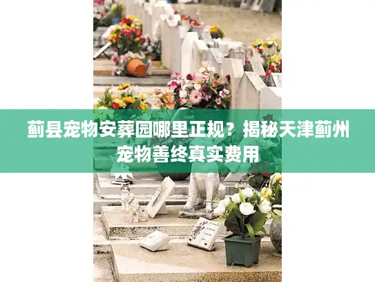 蓟县宠物安葬园哪里正规？揭秘天津蓟州宠物善终真实费用