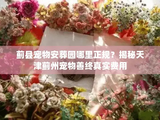 蓟县宠物安葬园哪里正规？揭秘天津蓟州宠物善终真实费用