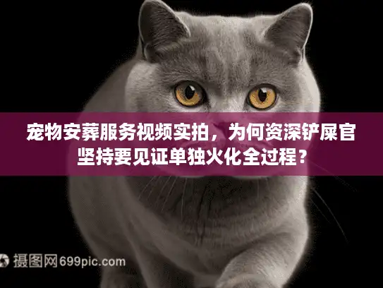 宠物安葬服务视频实拍，为何资深铲屎官坚持要见证单独火化全过程？