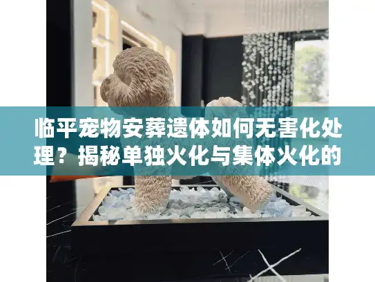 临平宠物安葬遗体如何无害化处理？揭秘单独火化与集体火化的价格差