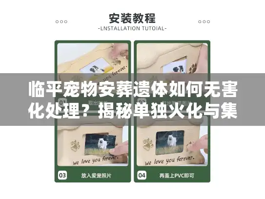 临平宠物安葬遗体如何无害化处理？揭秘单独火化与集体火化的价格差