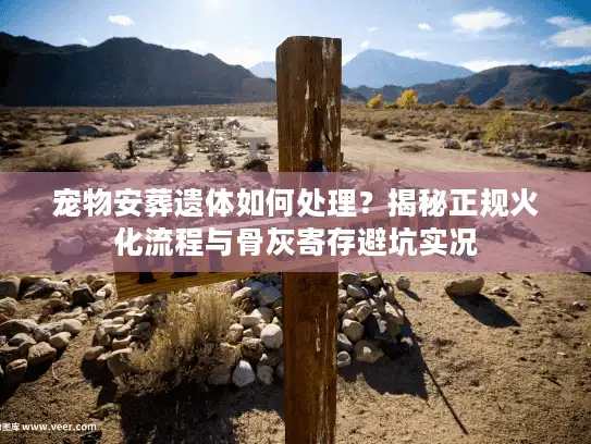 宠物安葬遗体如何处理？揭秘正规火化流程与骨灰寄存避坑实况