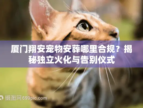 厦门翔安宠物安葬哪里合规？揭秘独立火化与告别仪式