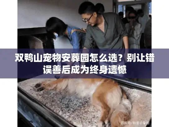 双鸭山宠物安葬园怎么选？别让错误善后成为终身遗憾