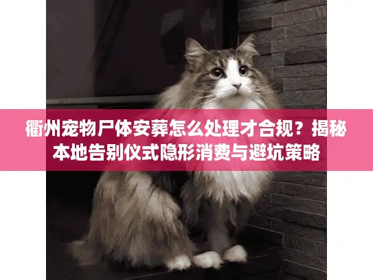 衢州宠物尸体安葬怎么处理才合规？揭秘本地告别仪式隐形消费与避坑策略