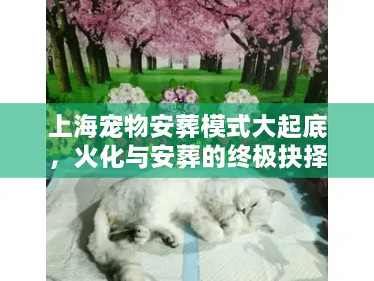 上海宠物安葬模式大起底，火化与安葬的终极抉择