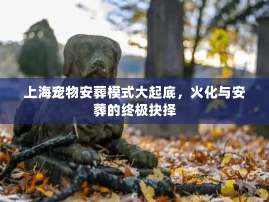 上海宠物安葬模式大起底，火化与安葬的终极抉择