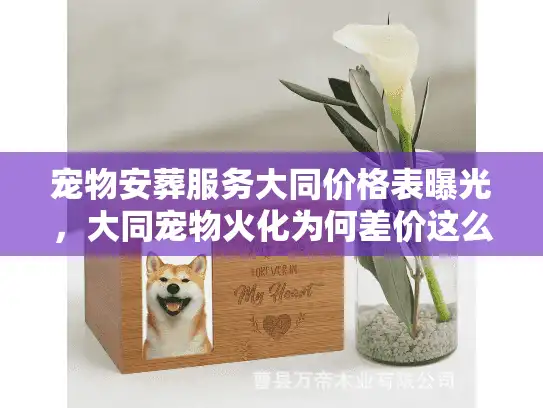 宠物安葬服务大同价格表曝光，大同宠物火化为何差价这么大？